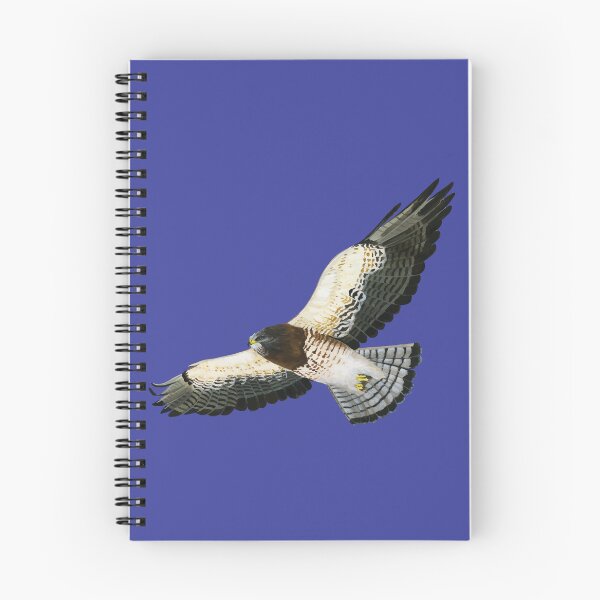 Item preview, Swainson's Hawk designed and sold by adziegiel.