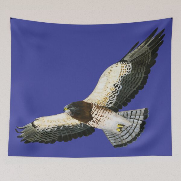 Item preview, Swainson's Hawk designed and sold by adziegiel.