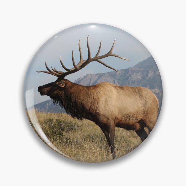 Item preview, Colorado Elk designed and sold by rjorg.