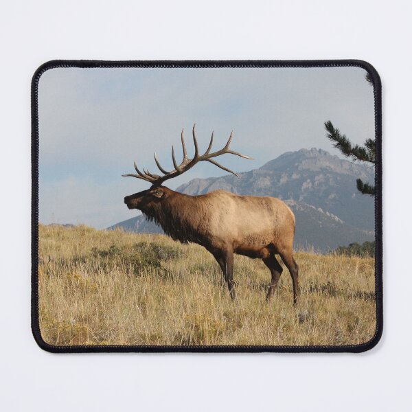 Item preview, Colorado Elk designed and sold by rjorg.