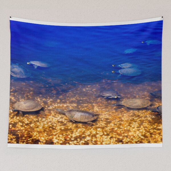 Item preview, Turtles Galore designed and sold by Stephen Jolly.