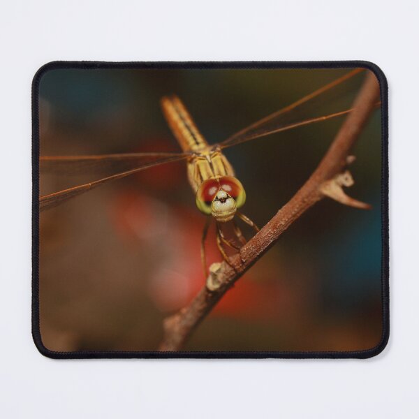 Item preview, Golden Dragonfly Resting on Branch designed and sold by Kemet Aura.