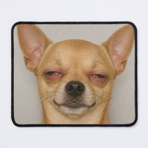 Item preview, Just Vibes Chihuahua designed and sold by TsuruOhei.