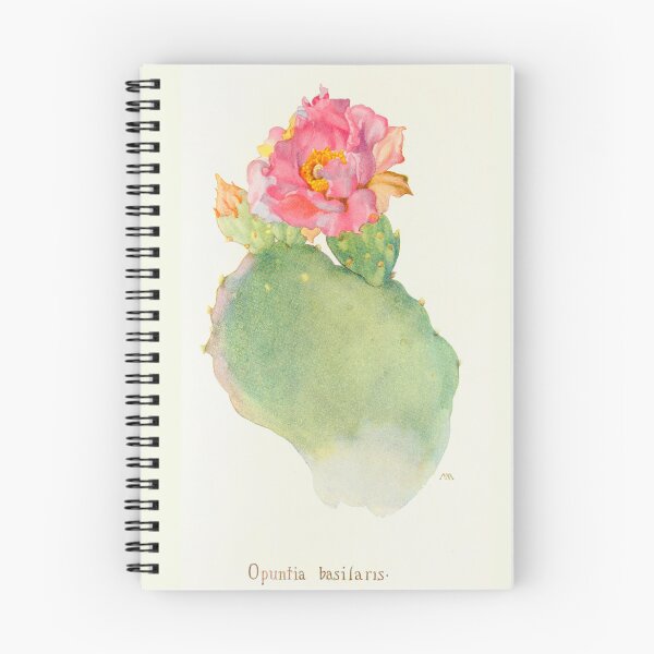 Item preview, Opuntia basilaris by Margaret Armstrong (c.1915) // Public Domain designed and sold by Vernissage-dart.