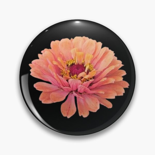 Item preview, Garden Pink Orange Zinnia Flower Cutout designed and sold by CDPrintsDesigns.