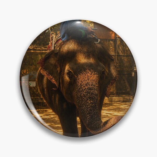 Item preview, Elephant under sunlit jungle canopy designed and sold by Paulharper2186.