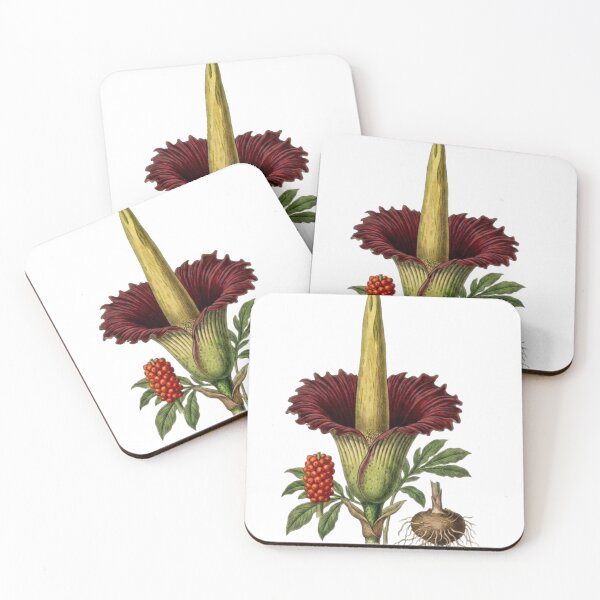 Item preview, Rare Titan Arum - Exotic Corpse Flower Botanical PNG Art designed and sold by Atlasoloji.