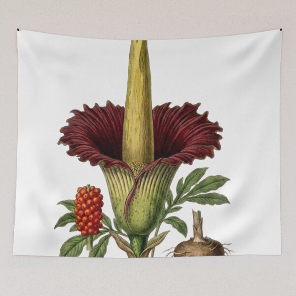 Item preview, Rare Titan Arum - Exotic Corpse Flower Botanical PNG Art designed and sold by Atlasoloji.