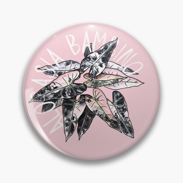 Item preview, ALOCASIA BAMBINO PINK VARIEGATED designed and sold by MYPLANTEES.