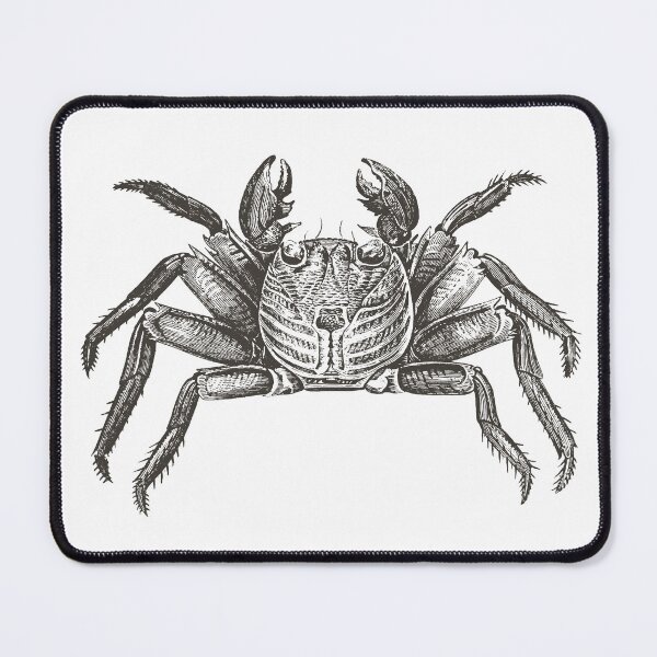 Item preview, Vintage crab study drawing designed and sold by Zenbudget.