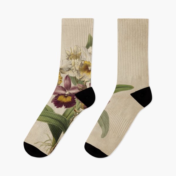 Artikelvorschau, Vintage-Kunstwerk mit tropischen Orchideenmotiven entworfen und verkauft von desmondlyon.