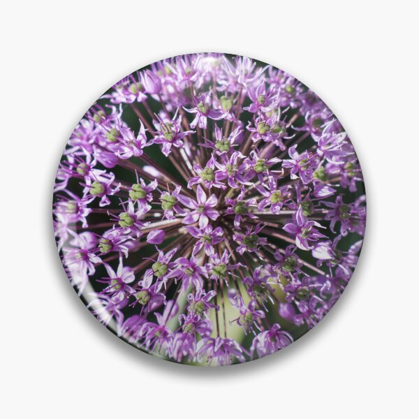 Item preview, Solo Vibrant Purple Allium Blossom designed and sold by Georgia Mizuleva.