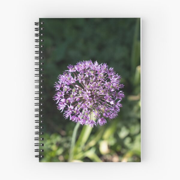 Item preview, Solo Vibrant Purple Allium Blossom designed and sold by Georgia Mizuleva.