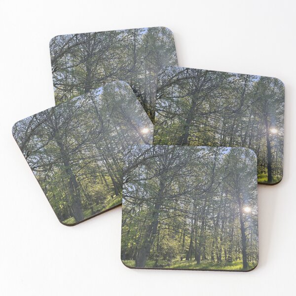 Item preview, The Forest Therapy designed and sold by MaNo2026.