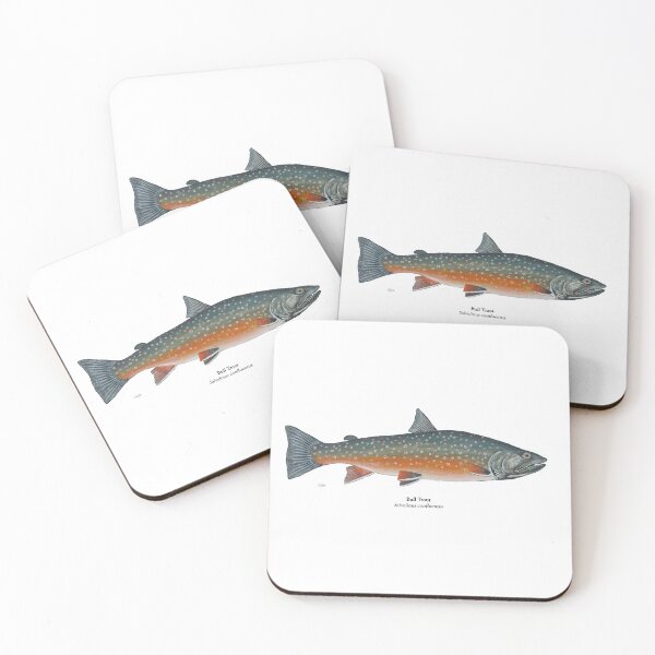 Item preview, Bull Trout Painting designed and sold by Stephen Emms.
