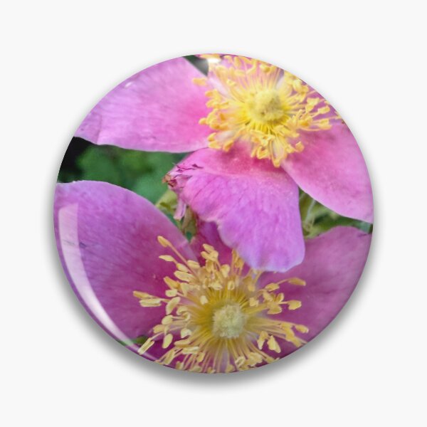Item preview, Untamed Wild Roses designed and sold by Betsy Phillips.