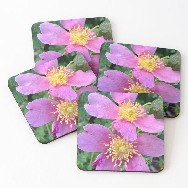 Item preview, Untamed Wild Roses designed and sold by Betsy Phillips.