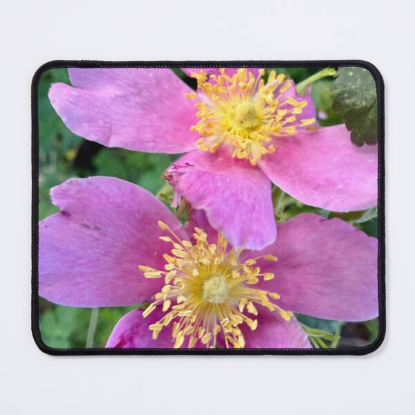 Item preview, Untamed Wild Roses designed and sold by Betsy Phillips.