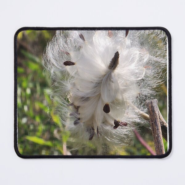 Item preview, Milkweed in the Breeze designed and sold by Rosebughive Photography.