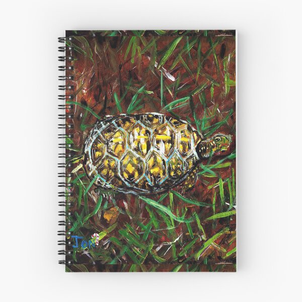 Item preview, Box Turtle designed and sold by Misfitcane.
