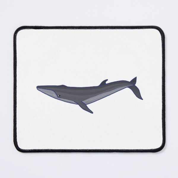 Item preview, Rice's Whale designed and sold by ODruryStudios.