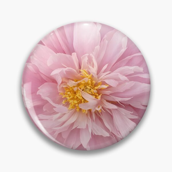 Item preview, Blush Pink Peony Flower Art Print designed and sold by Violafleurviolett.