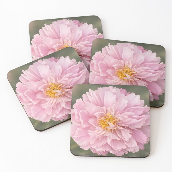Item preview, Blush Pink Peony Flower Art Print designed and sold by Violafleurviolett.