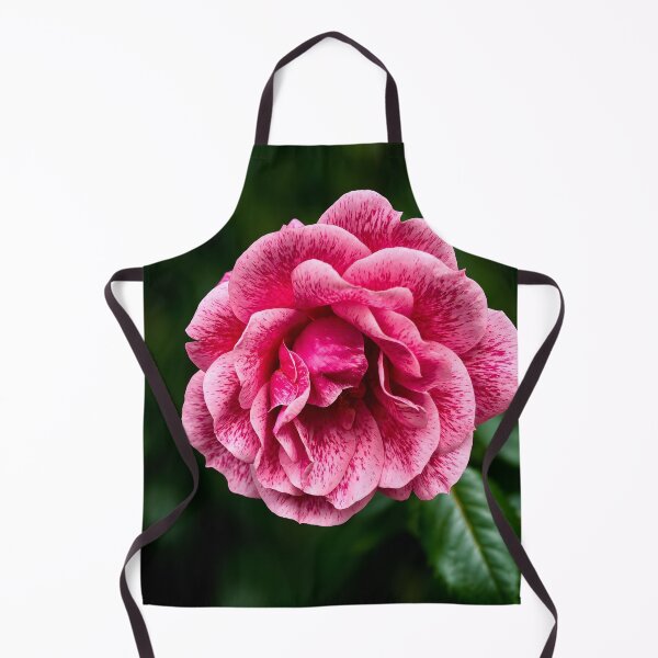 Artikelvorschau, Botanischer Kunstdruck mit rosa gesprenkelter Rose entworfen und verkauft von Violafleurviolett.
