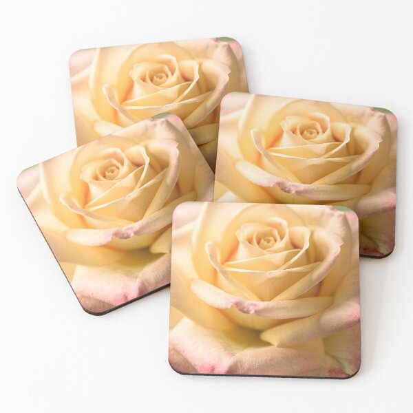 Item preview, Cream and Pink Rose Botanical Art Print designed and sold by ViolafleurViolett.