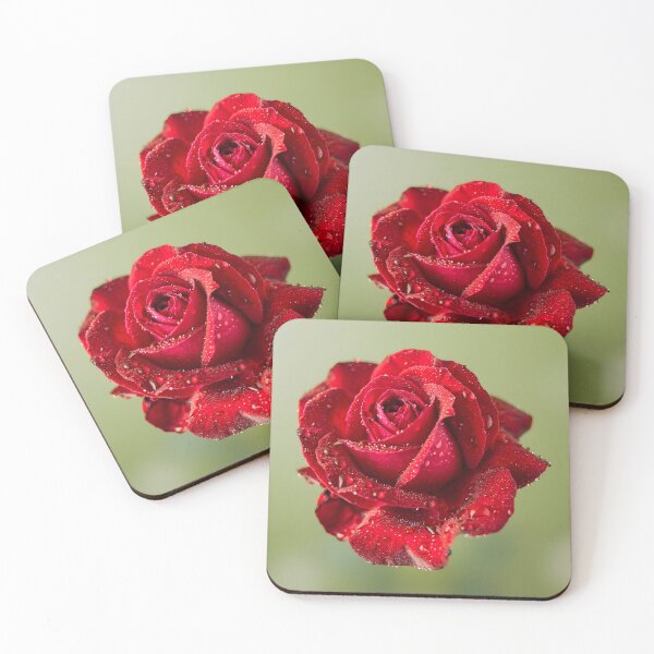Item preview, Red Rose with Dew Drops Art Print designed and sold by Violafleurviolett.