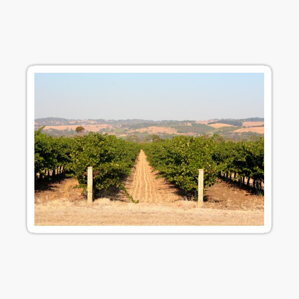 Item preview, Vineyard, McLaren Vale, Australia designed and sold by FranWest.