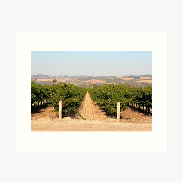 Item preview, Vineyard, McLaren Vale, Australia designed and sold by FranWest.