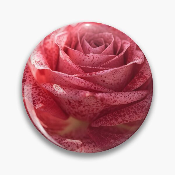 Item preview, Speckled Pink Rose Botanical Art Print designed and sold by Violafleurviolett.
