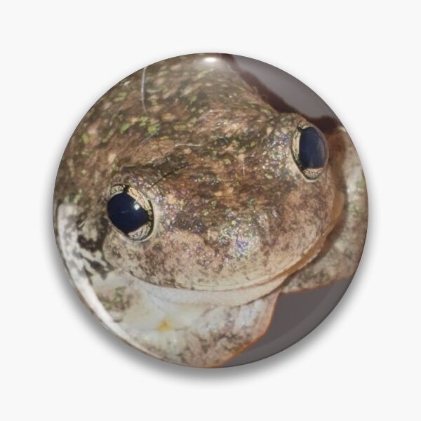 Item preview, Ribbity Robert the big brown frog designed and sold by BeesBarn.