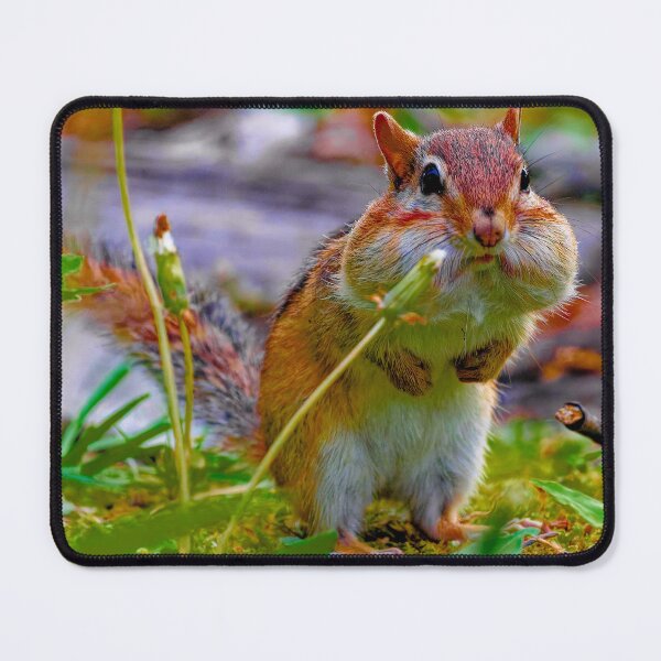 Item preview, Curious Chipmunk in the Garden designed and sold by SClarkArtVT.