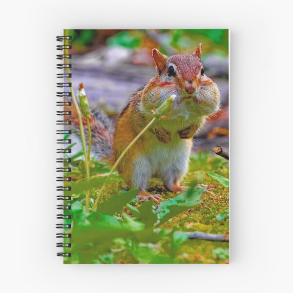 Item preview, Curious Chipmunk in the Garden designed and sold by SClarkArtVT.