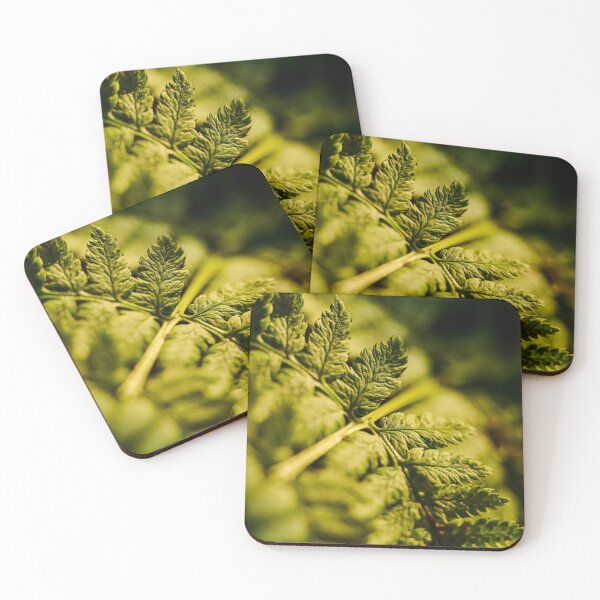 Item preview, Sunlit Fern in Soft Focus designed and sold by TheNordicNature.