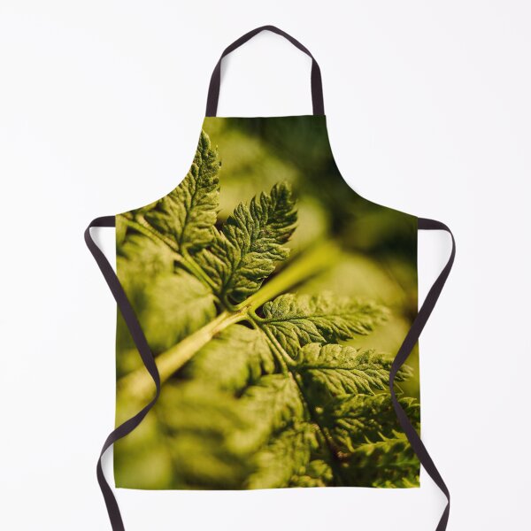 Item preview, Sunlit Fern in Soft Focus designed and sold by TheNordicNature.
