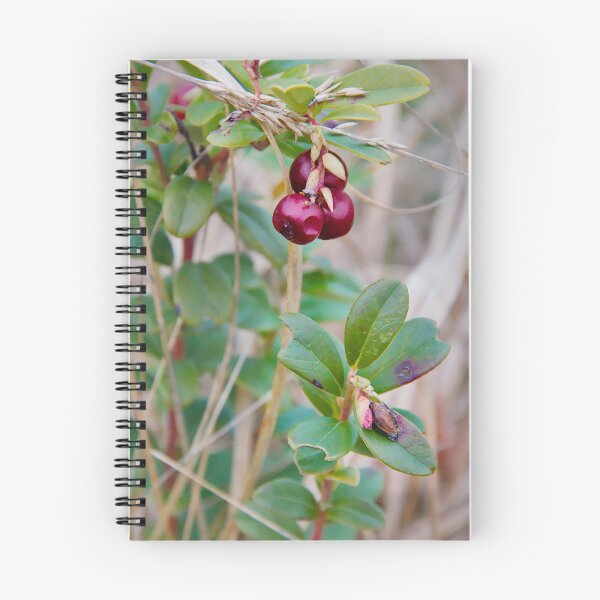 Item preview, Wild Red Lingonberries designed and sold by ShotsbyDesiree.