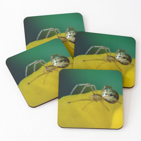 Item preview, Judging You Quietly – Patterned Spider on Buttercup Petal, Bristol, England designed and sold by Johnathan Robinson Photography.
