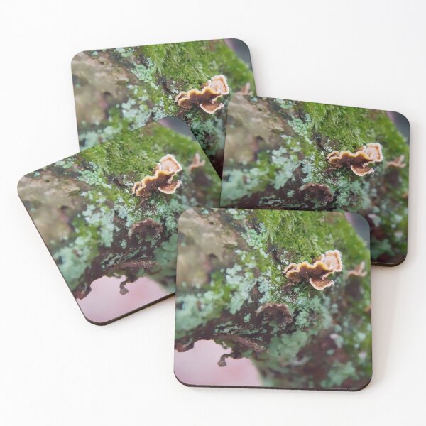 Item preview, Tiny Shelf Fungi designed and sold by ShotsbyDesiree.