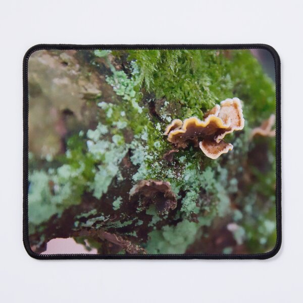 Item preview, Tiny Shelf Fungi designed and sold by ShotsbyDesiree.
