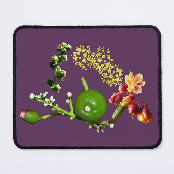 Item preview, Klitzeklein und Winzig designed and sold by tasmanianartist.