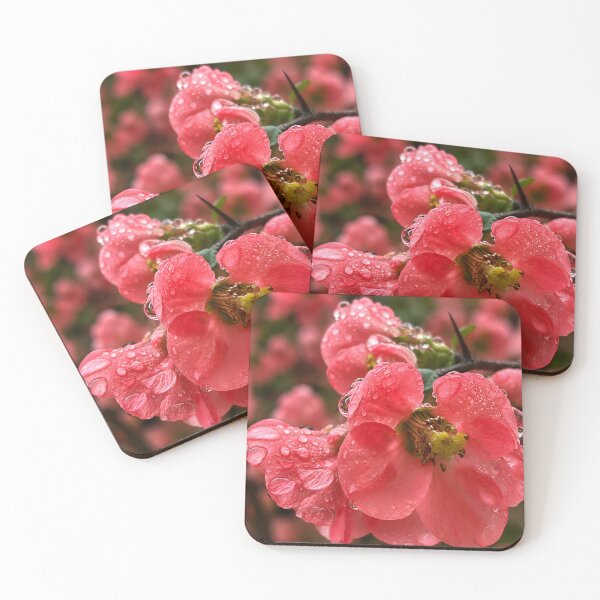 Item preview, Pink Flowering Quince with Dew Drops designed and sold by Violafleurviolett.