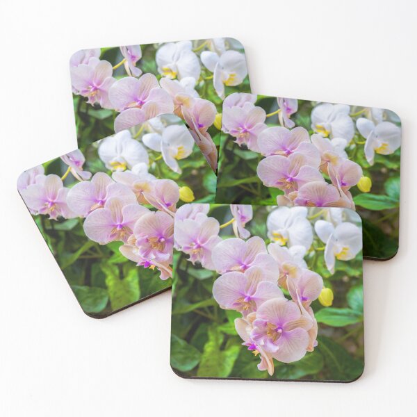 Item preview, Pink Orchids designed and sold by CopperSkyPhoto.