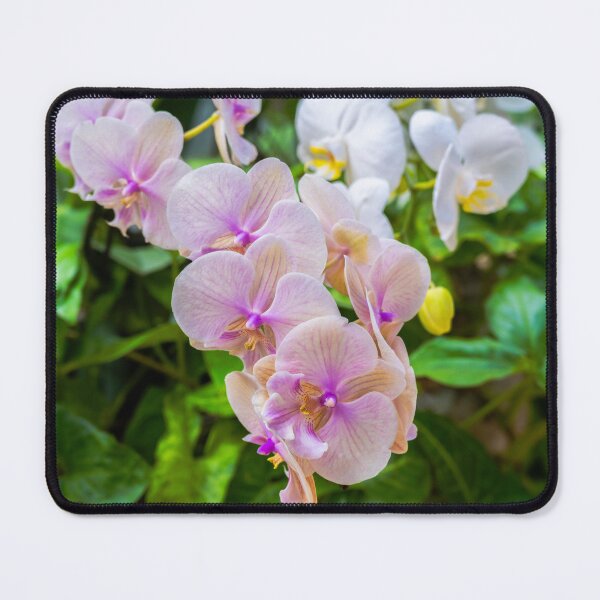 Item preview, Pink Orchids designed and sold by CopperSkyPhoto.