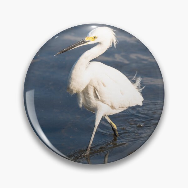 Item preview, Snowy Egret Wading in Shallow Water designed and sold by Debra Martz.