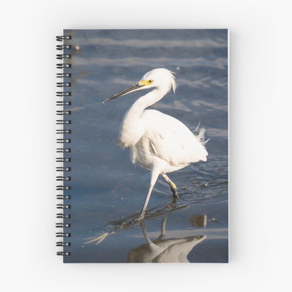 Item preview, Snowy Egret Wading in Shallow Water designed and sold by Debra Martz.
