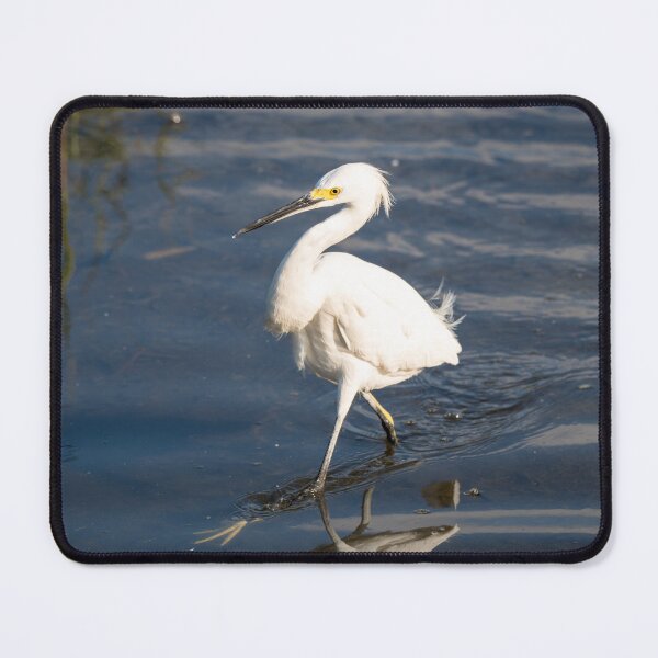 Item preview, Snowy Egret Wading in Shallow Water designed and sold by Debra Martz.