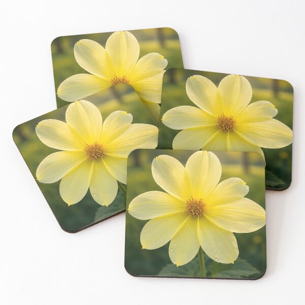 Item preview, Yellow Single Dahlia Botanical Art Print designed and sold by Violafleurviolett.